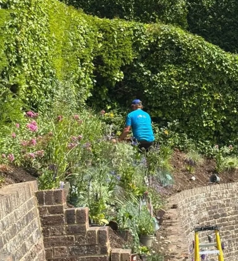 planting scheme on a south facing bank in Meads, Eastbourne, East Sussex