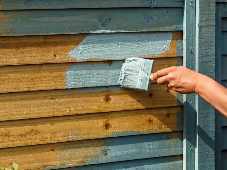 Fence Painting East Kilbride