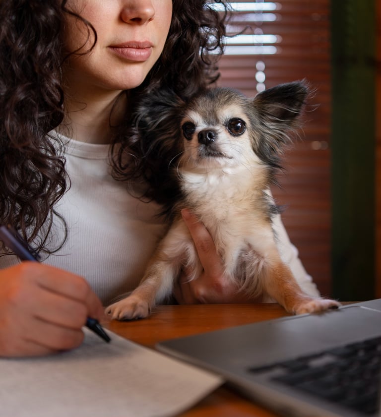 <a href="https://www.freepik.com/free-photo/front-view-woman-with-laptop-home_39701683.htm#fromView=