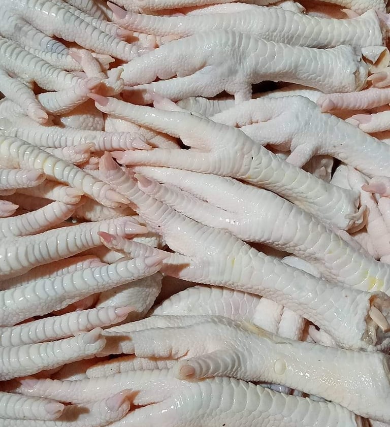 Chicken feet Exports by DGT