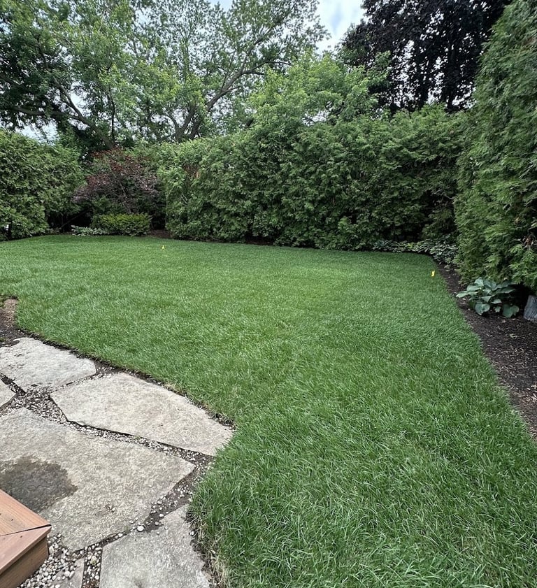 Fresh sod installation completed by Grassco Landscaping in Burlington Ontario