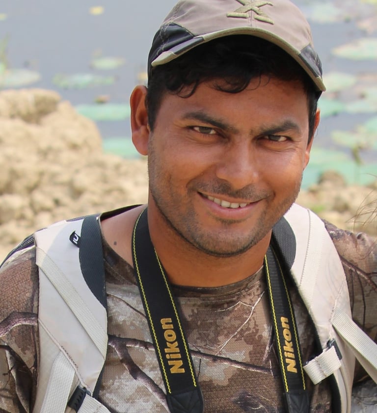 Daman, Guide Adventure Safari & Trek in Bardiya National Park