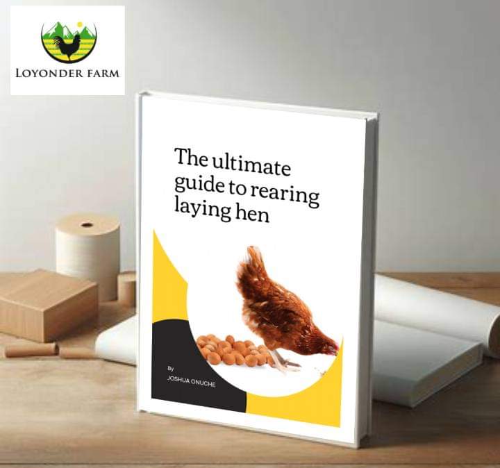 Rearing Laying Hen ebook cover