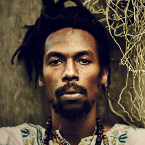 a man with dreadlocks and dreadlocks on his head