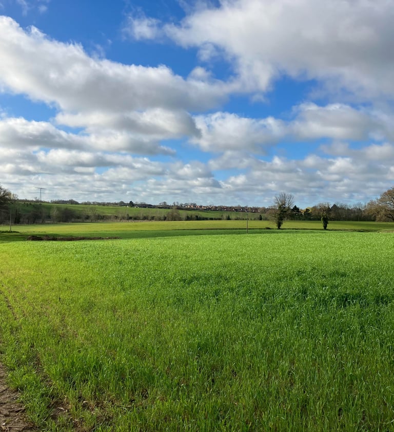 countryside field in the east of england with some homes in the distance