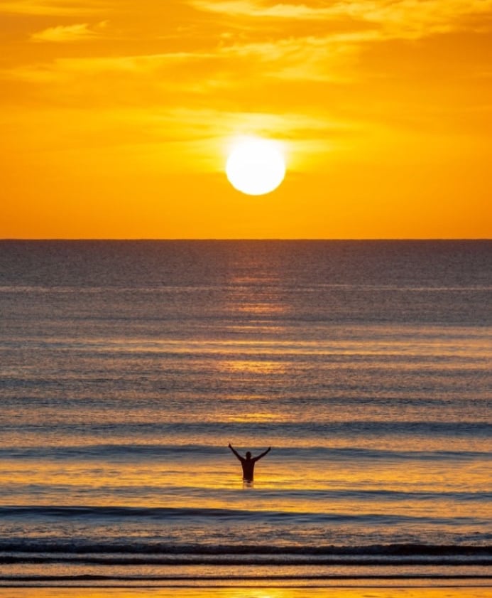 a person standing on a beach with a bird flying in the air