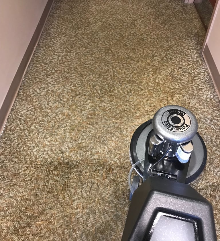 Commercial Carpet Cleaning in Ormond Beach, Florida