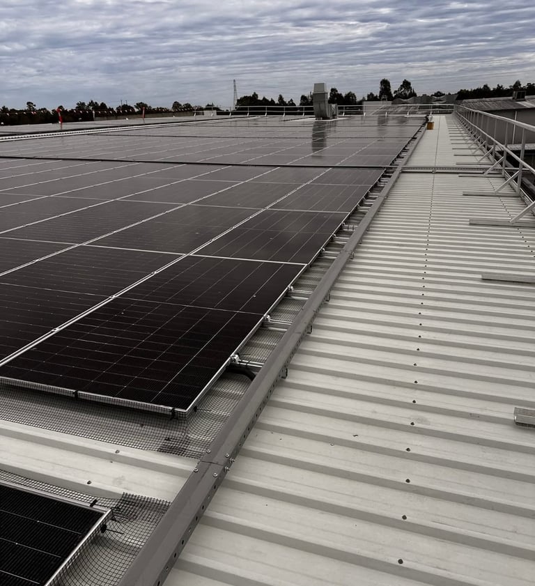 Commercial Roof Solar Bird proofing Linden