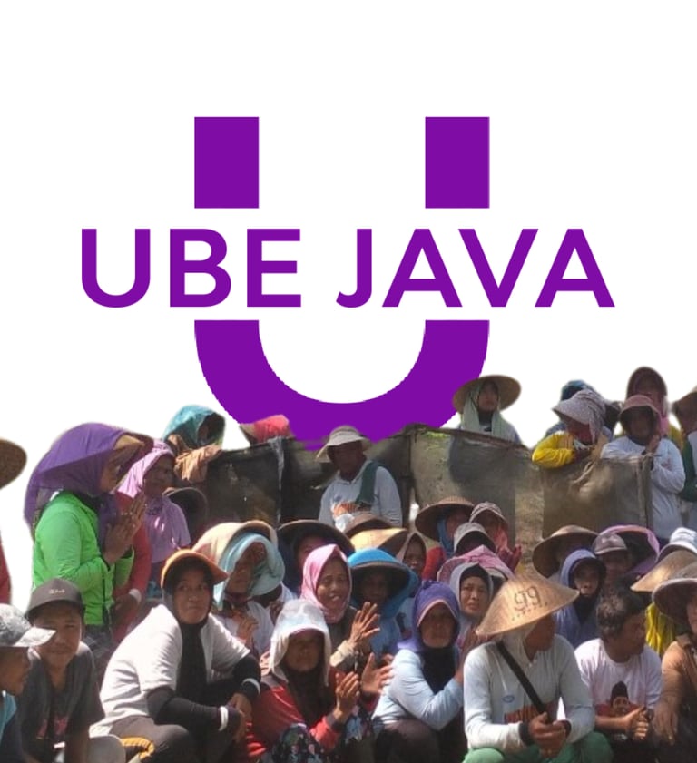ube purple yam, ube supplier, purple yam supplier