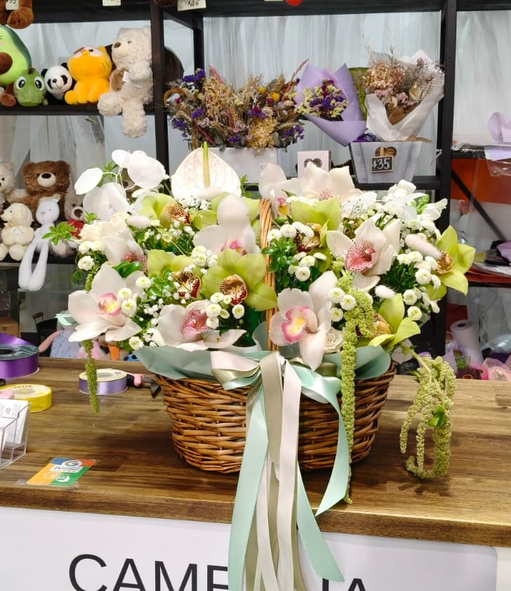 white orchid basket arrangement Camellia & Co Mt Roskill florist