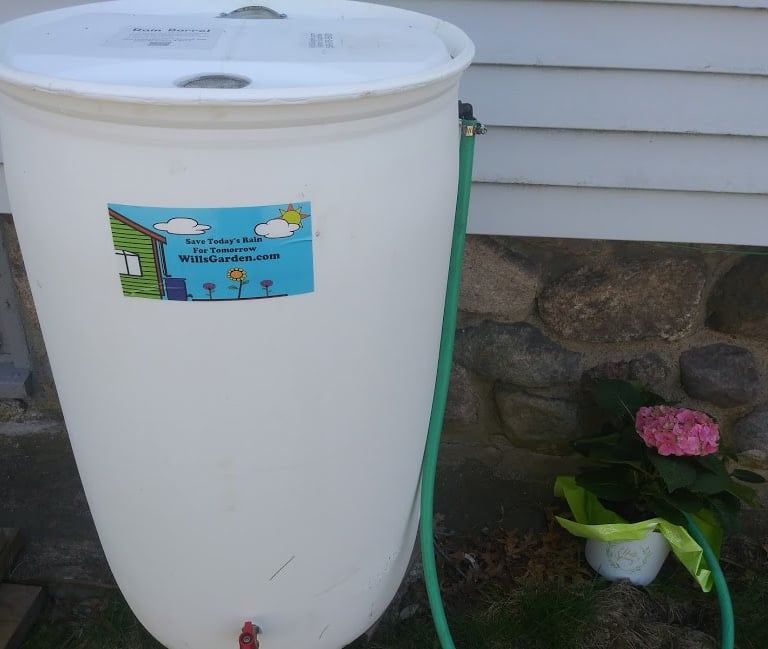 a photo of a rain barrel installed under a downspout with an overflow hose attached