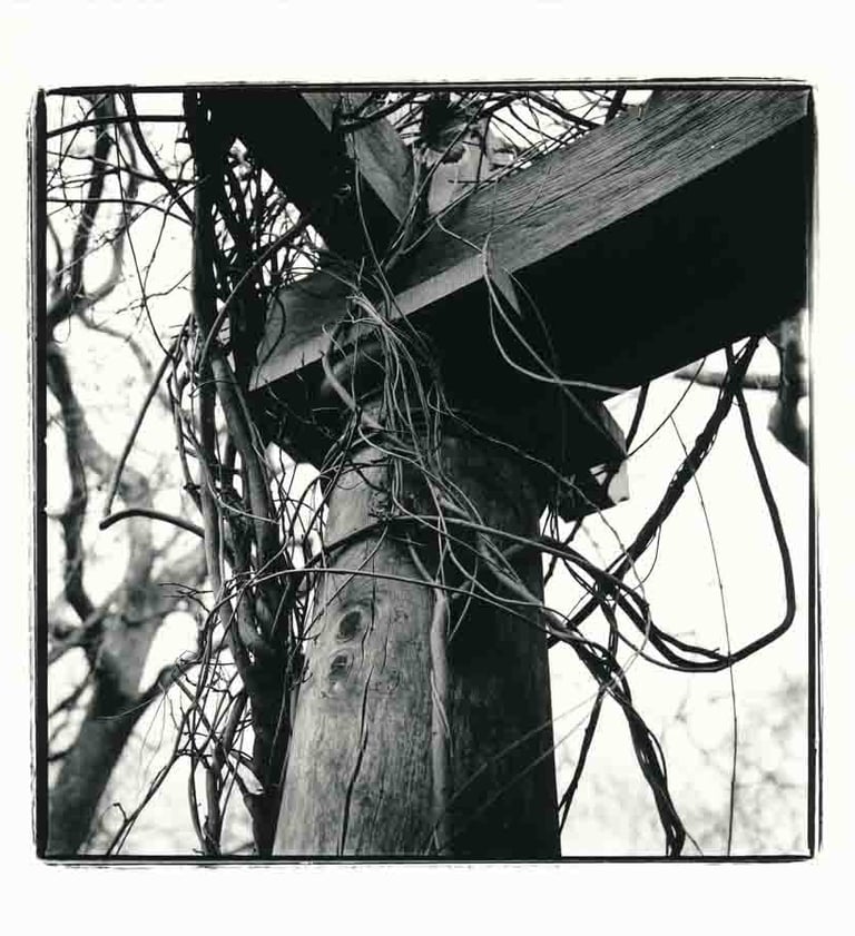 A wooden pilar in a garden in London