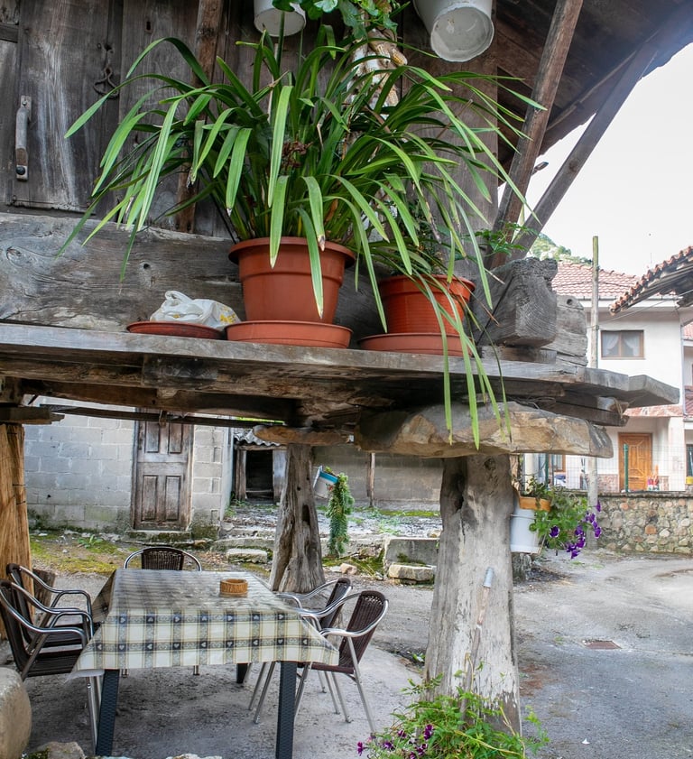Casa Rural Salices 