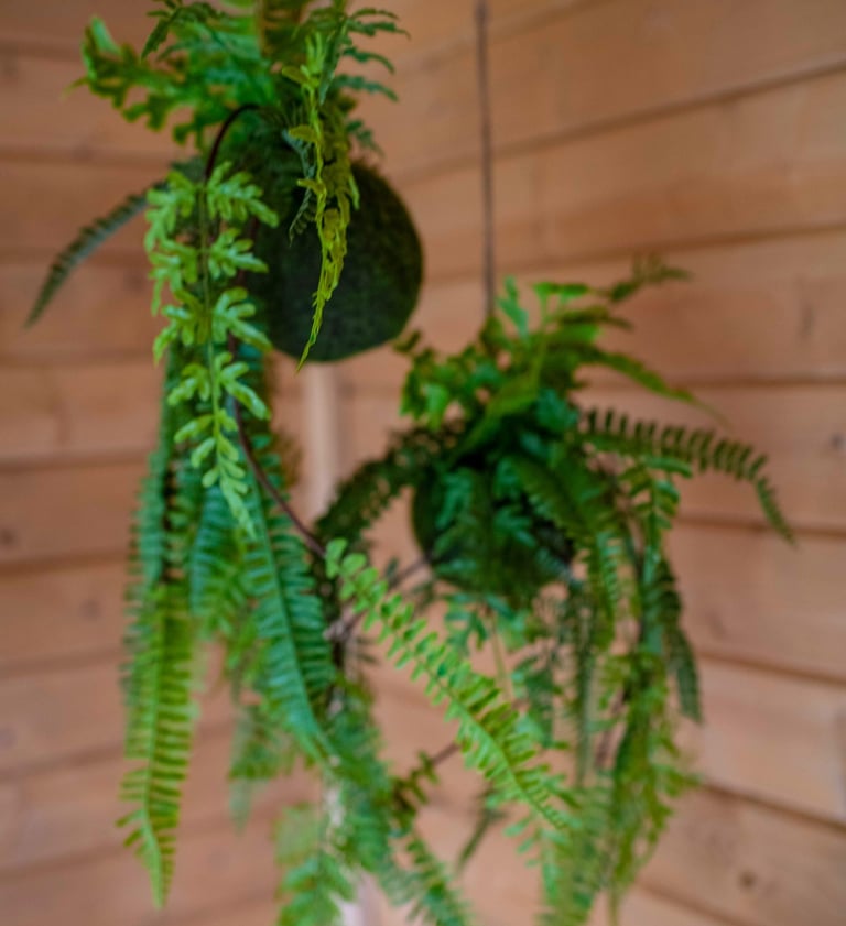 Brainspotting sessie waarbij cliënt een vaste oogpositie volgt voor diepe neurofysiologische verwerk