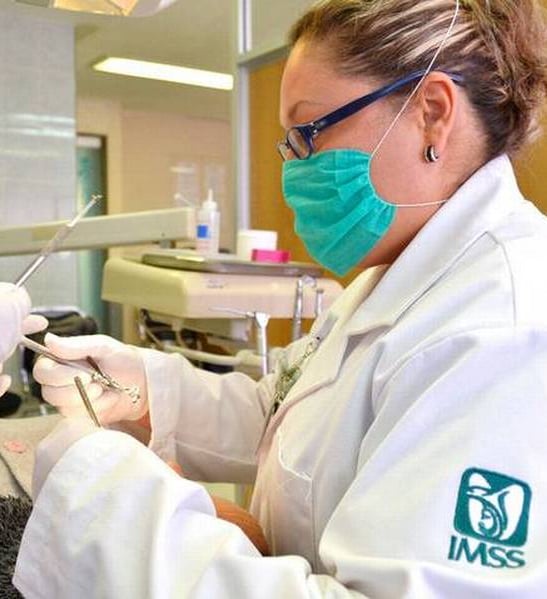 Fonoaudiólogo IMSS Bolsa de Trabajo IMSS Vacantes IMSS Empleos IMSS Trabajar en el IMSS