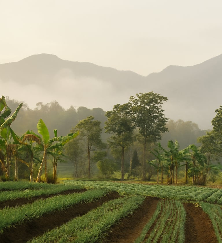 a lush Colombian field with a mountain in the background