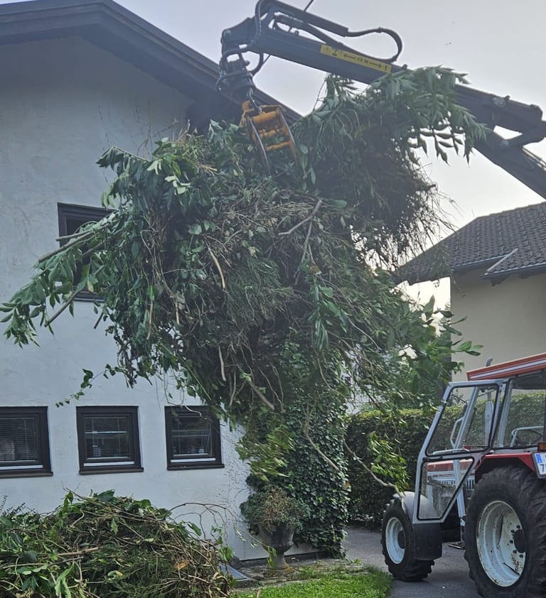 Ein großer Haufen Grünschnitt wird mit dem Kran eines Ladewagens hochgehoben