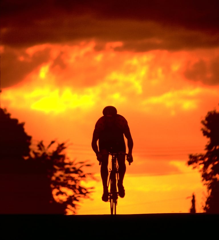 a person riding a bike at sunset
