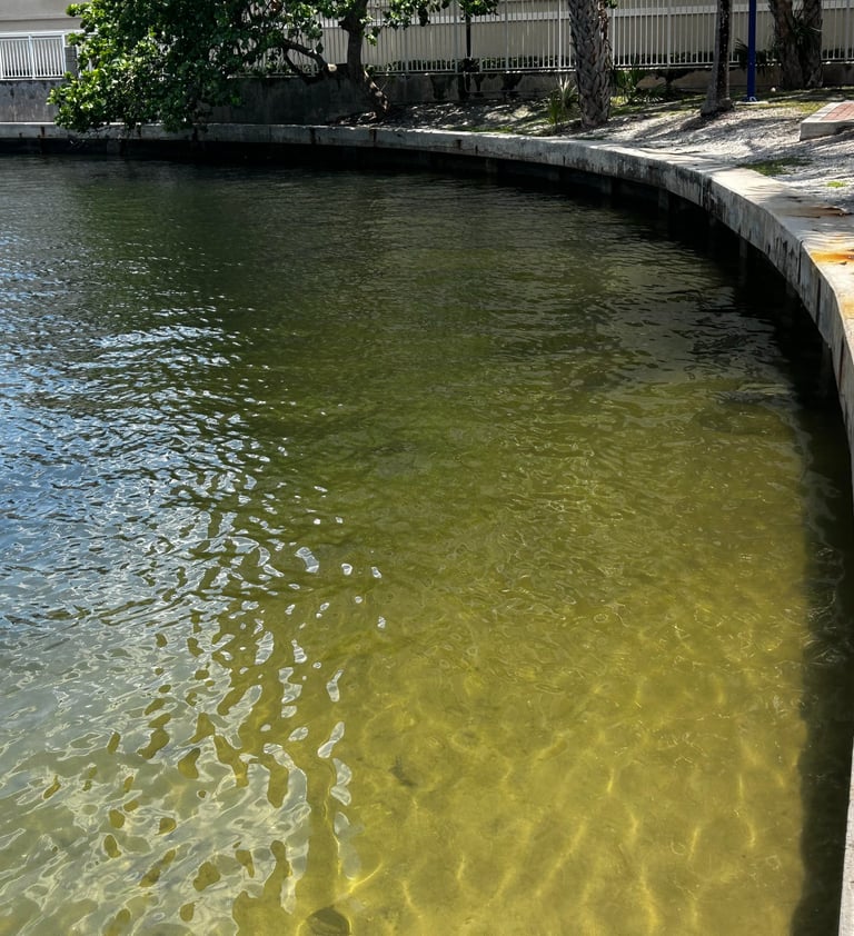 Seawall inspection 