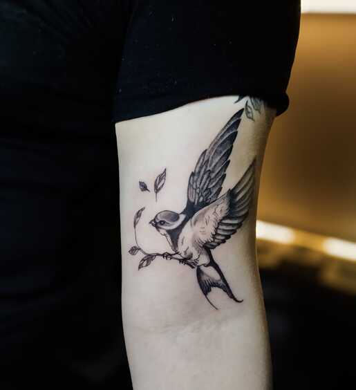 Tatuaje de golondrina en negro y gris en un brazo, que muestra al ave posada sobre una rama frondosa