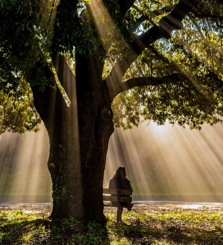 a person sitting on a bench in the sun