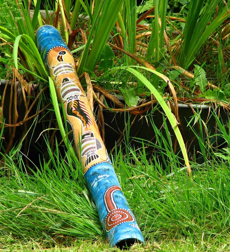Didgeridoo Article