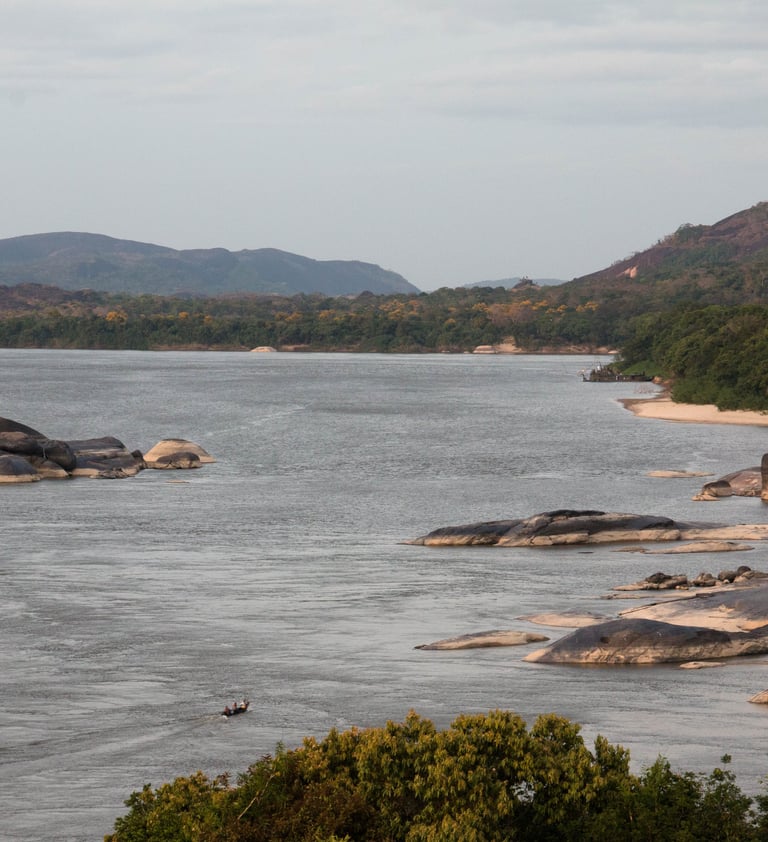 Vichada, Colombia. Terra Forest