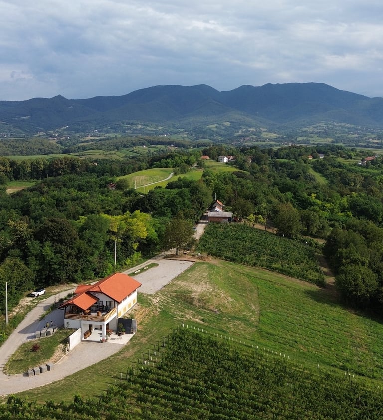 Vinarija okružena zelenim vinogradima pod plavim nebom