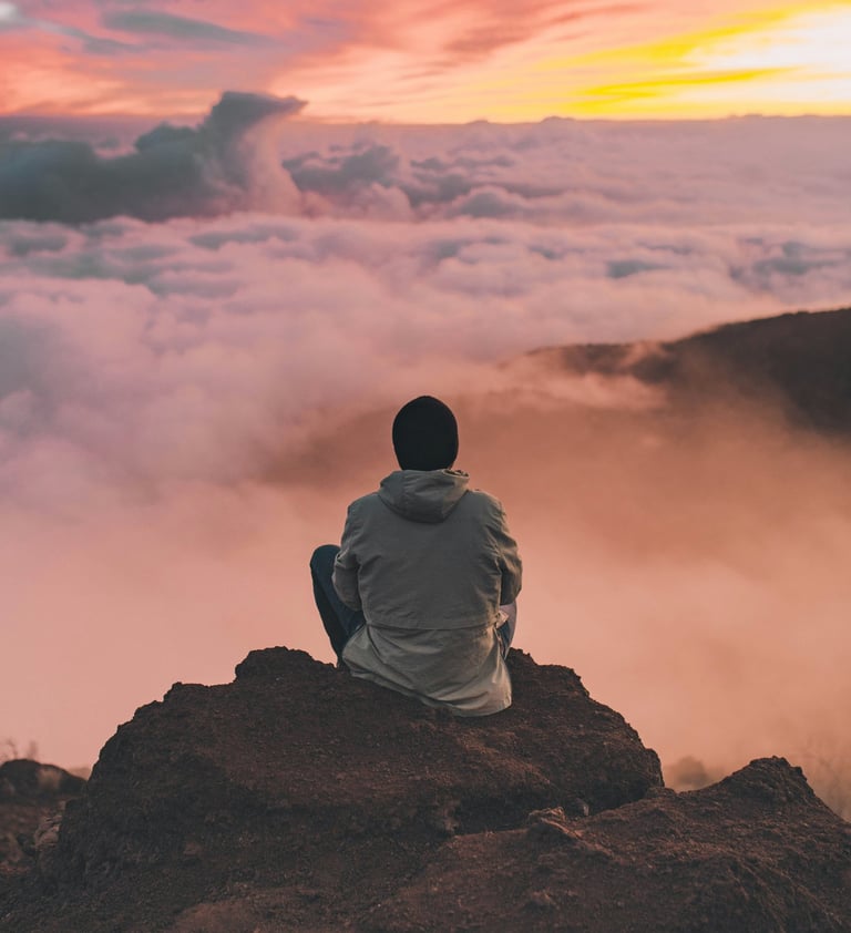 Man watching serene view on mountain