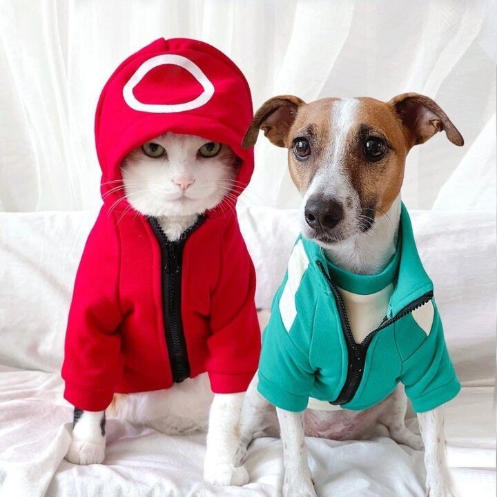 gato blanco con sudadera roja de guardia de Squid Game sentado junto a perro con chándal verde