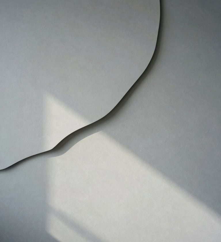Abstract photography of organic shapes and shadows on a light grey wall. The mood is calm, natural, and minimalist, emphasizing professional design clean lines.