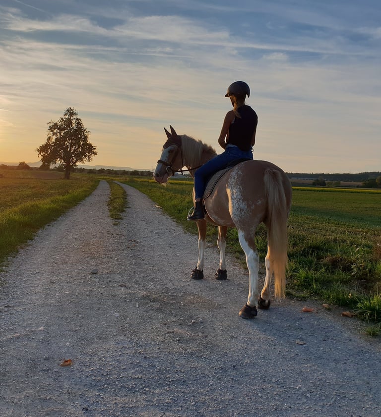 Mädchen reitet mit ihrem Pferd in den Sonnenuntergang