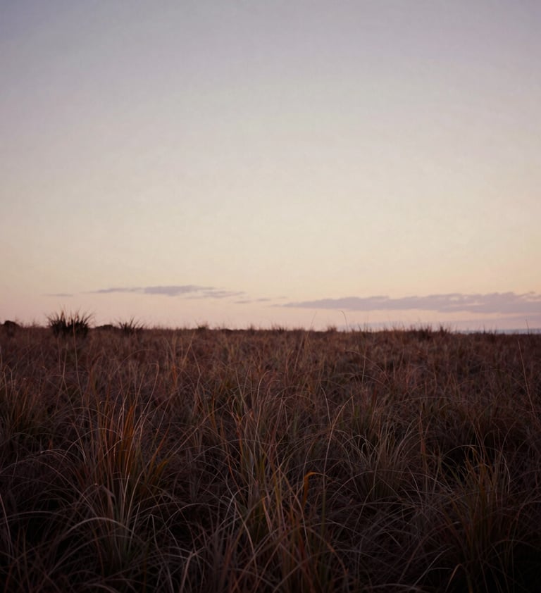 A serene landscape of a North American / US coastal meadow at twilight, capturing a feeling of peace. The sky is a soft off-white color with hints of muted mauve, and the ground is covered in deep-toned grasses. The atmosphere is quiet and soulful.