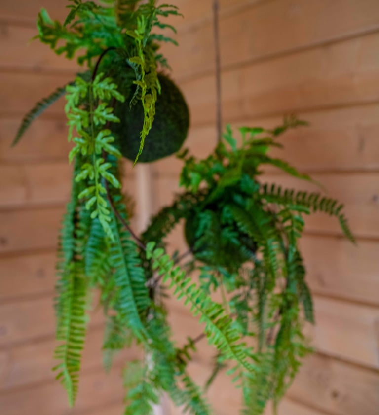 Praktijkruimte voor Brainspotting sessies in Huldenberg – sessieduur en tarievenoverzicht.