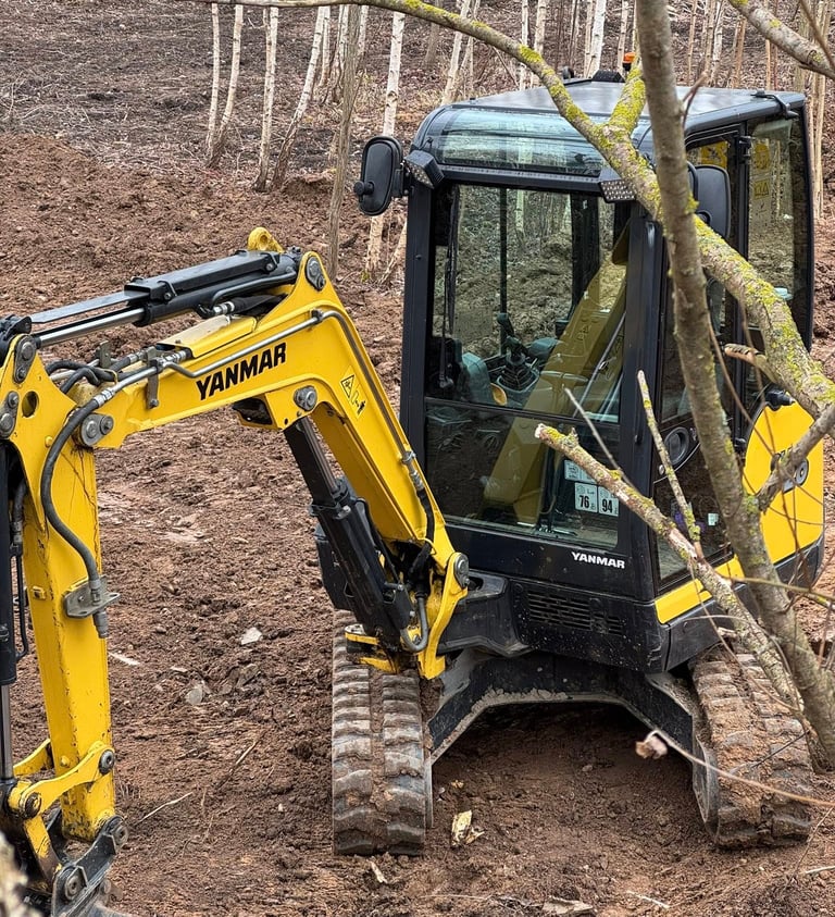 senu sklypo valymas, krumu valymas, sklypo valymas