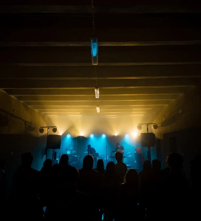 Lietuvos muzikos ir teatro akademijos studentų atstovybės renginys. Nuotr. J. Satkūnaitė