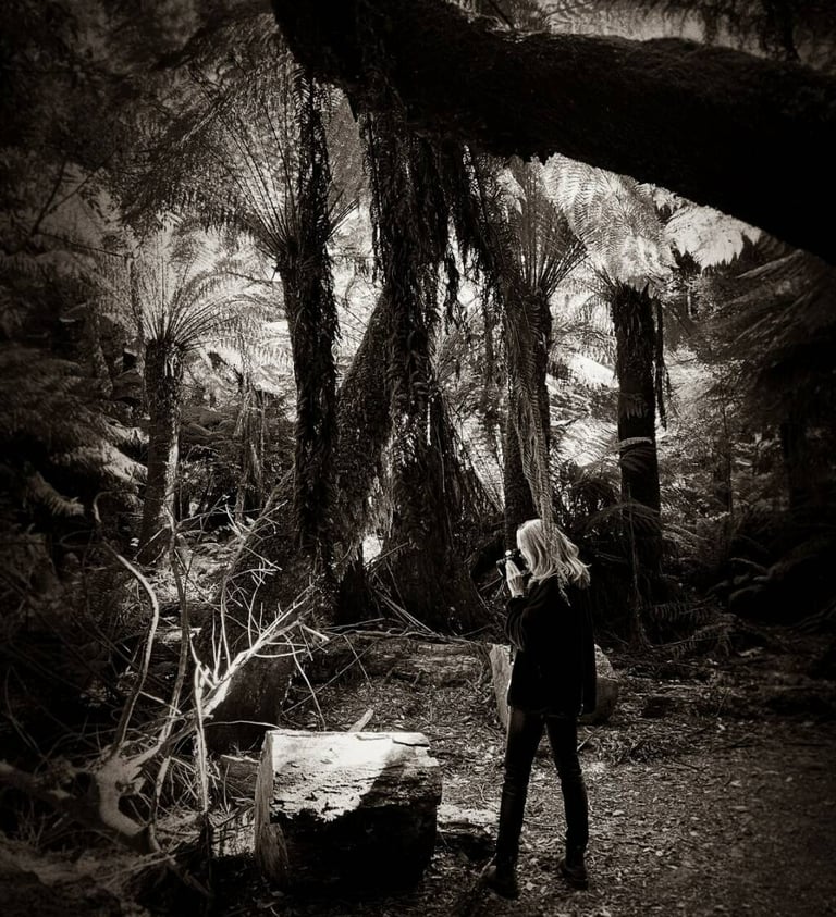 The Australian Journey - rainforest 28, 2024 ©Regina Anzenberger