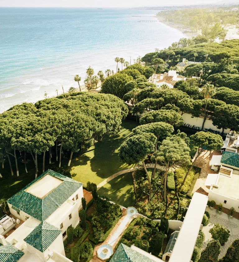 Aerial view of beachfront estate with pine grove and Mediterranean coastline