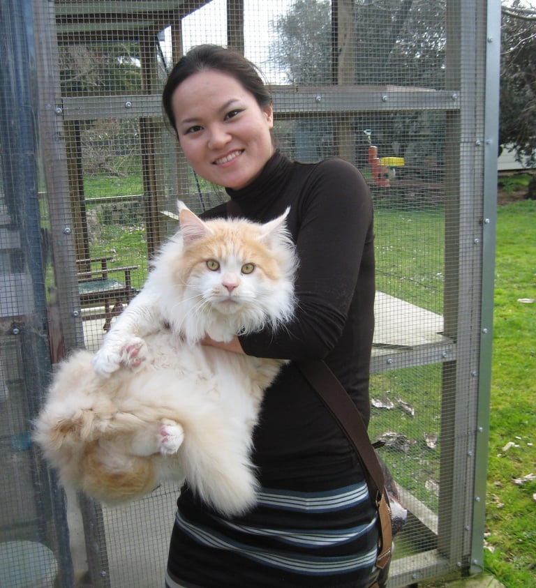a woman holding a cat in a cage