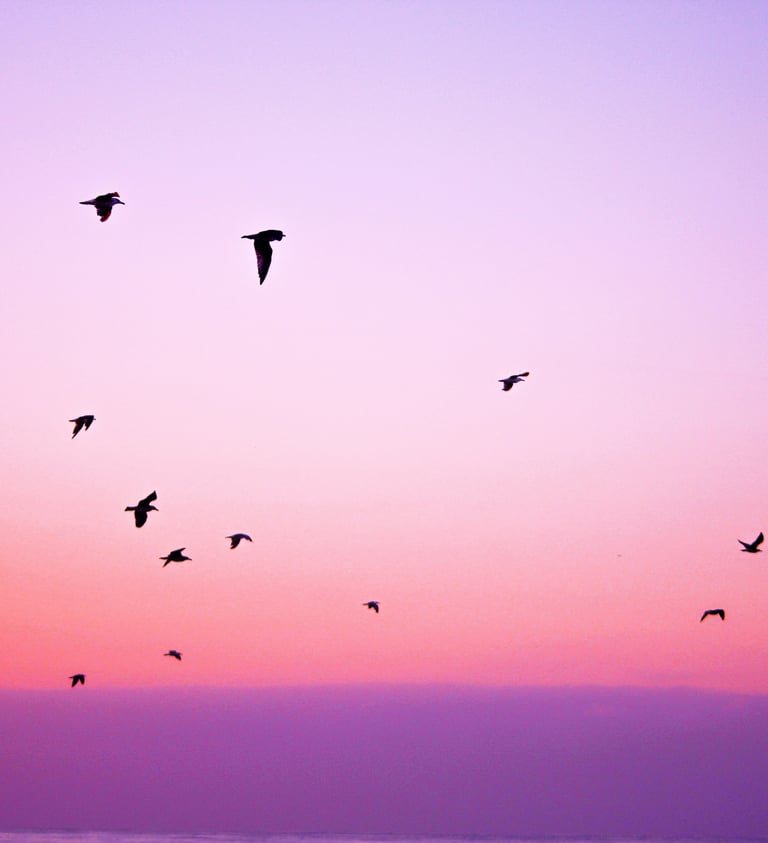 Contact counsellor/therapist in West Sussex