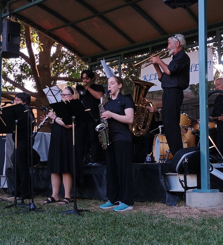 Hannah Wolkowitz Performing with Klezundheit!