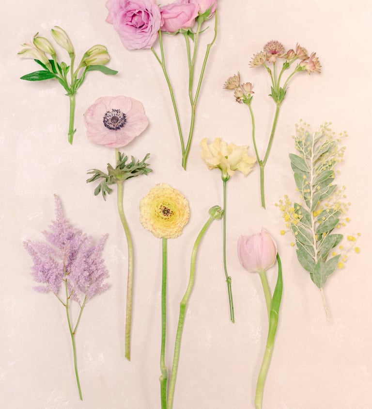 flatlay fleurs françaises d'hiver pastel jaune mauve