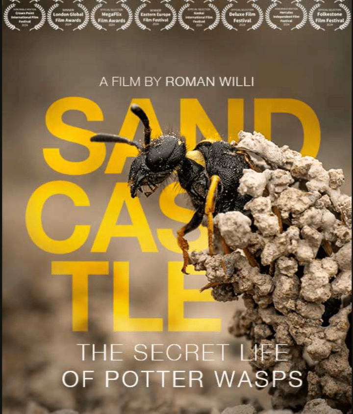 poster of award winning documentary abaout wasps with sound design and mix by etienne kompis