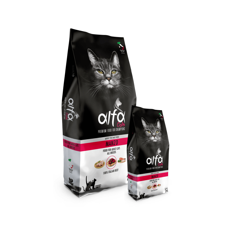 Alfa Cats Manzo