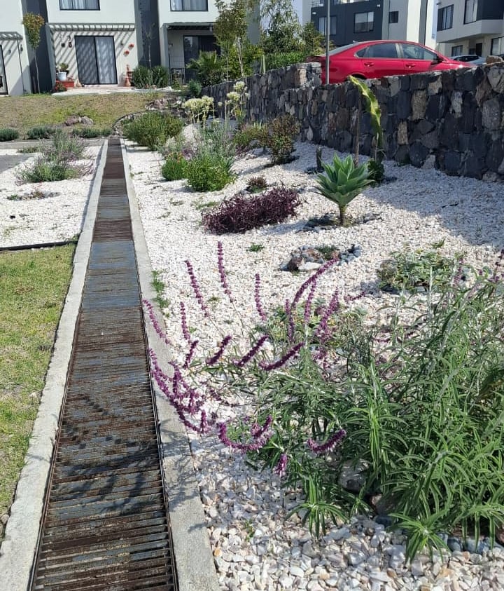 jardin remodelado en fraccionamiento con plantas polinizadoras 
