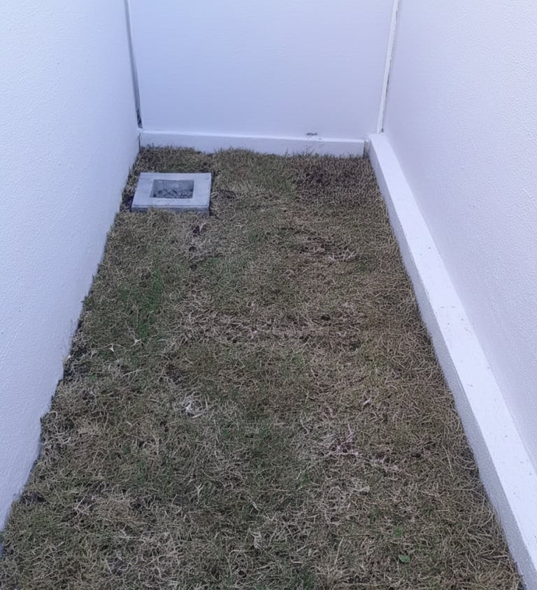 patio trasero con pasto seco