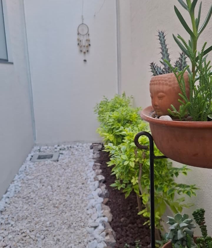 patio trasero remodelado con piedra marmol y plantas 