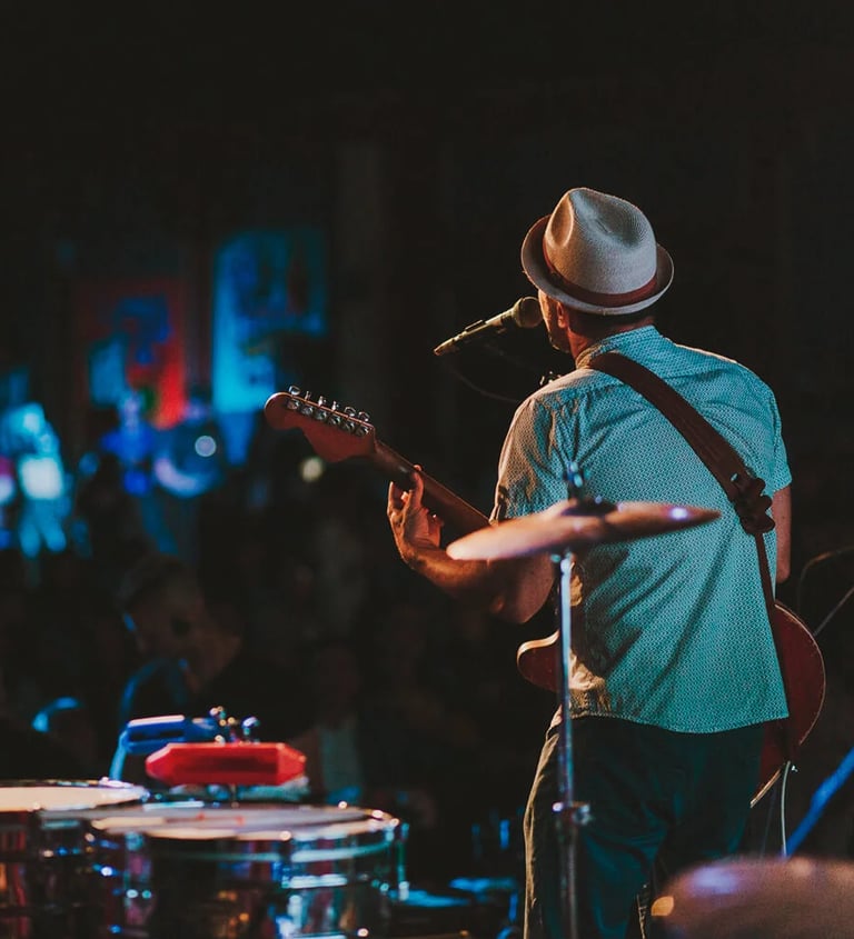 Musician performing for the event crowd