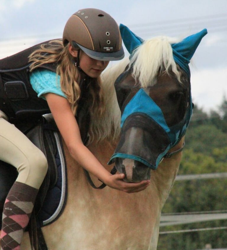 Mädchen sitzt auf einem Haflinger Pferd und gibt ihm ein Leckerli
