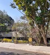 imagem mostra coroa de flores da velar em sao paulo no crematório vila alpina